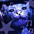 koii